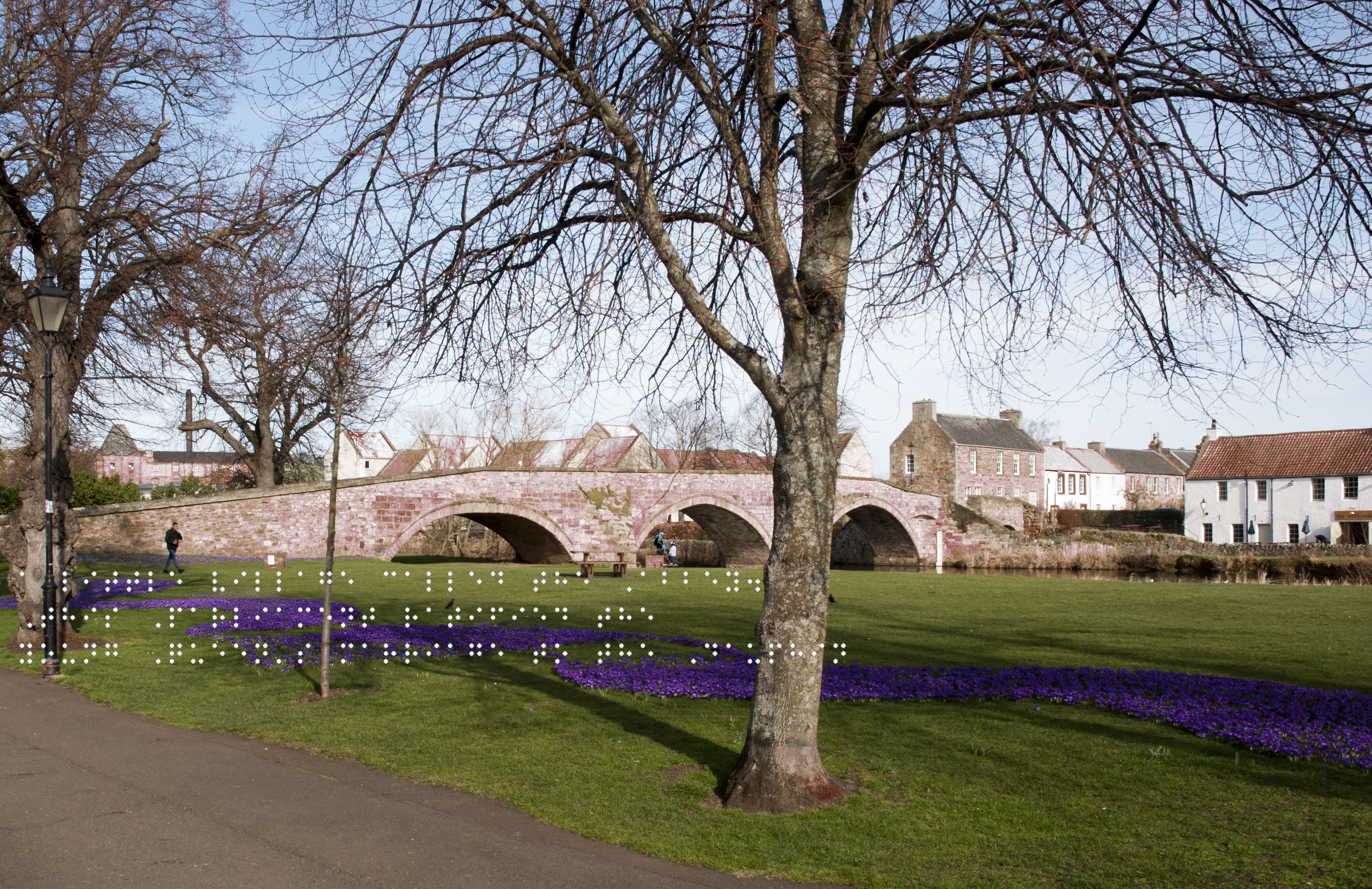 Nungate bridge over the river Tyne. Purple flowers in the foreground. Quote taken from historical figure shown in Braille