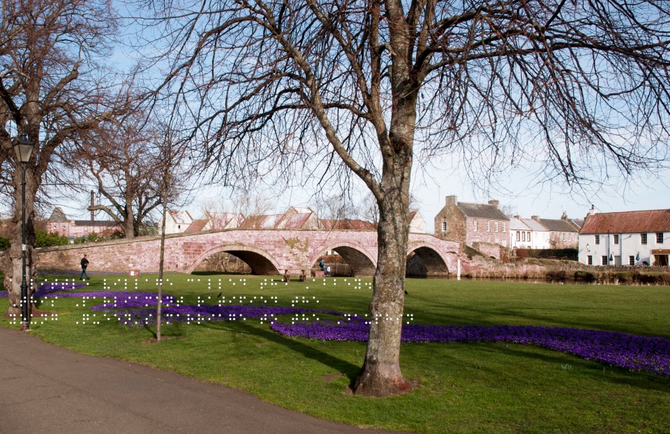 Nungate bridge over the river Tyne. Purple flowers in the foreground. Quote taken from historical figure shown in Braille