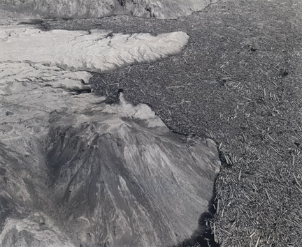 Frank Gohlke Aerial View Logs and debris in south end of Spirit Lake 4 or 5 miles N of Mt St Helens Washington