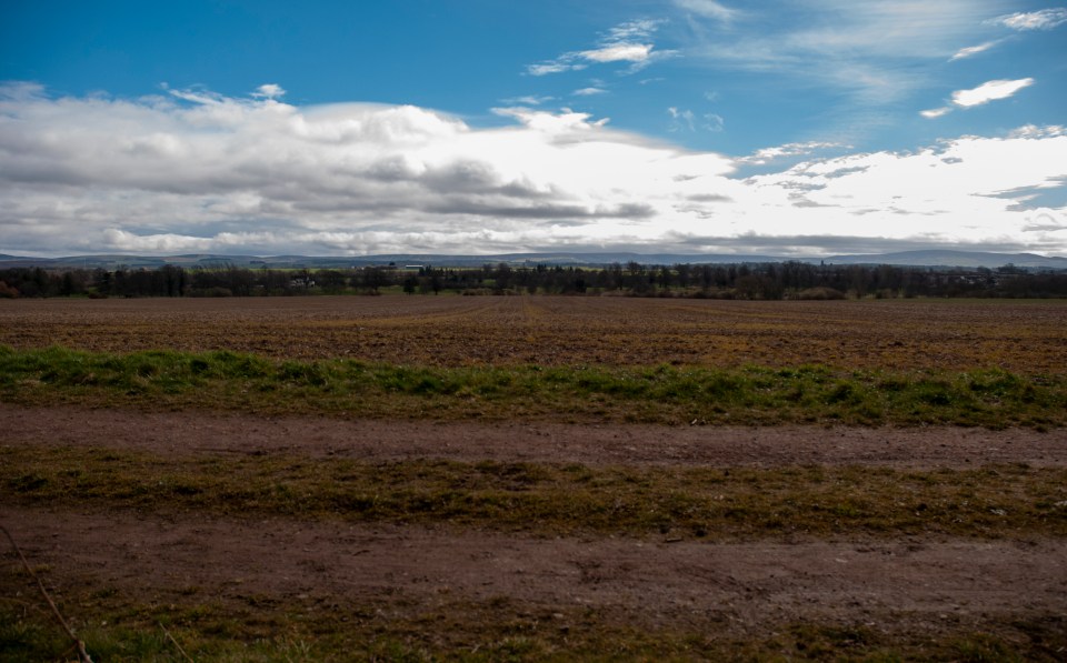 Muddy Field - the field has now been ploughed. It is spring and the field is being made ready.
