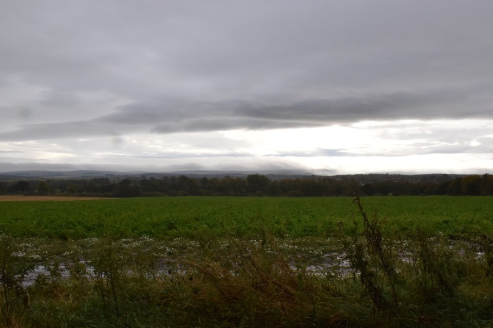Mid Day - Wet and wild weather has churned up mud, but we still await the harvest/ Grey clouds with a little sun breaking through
